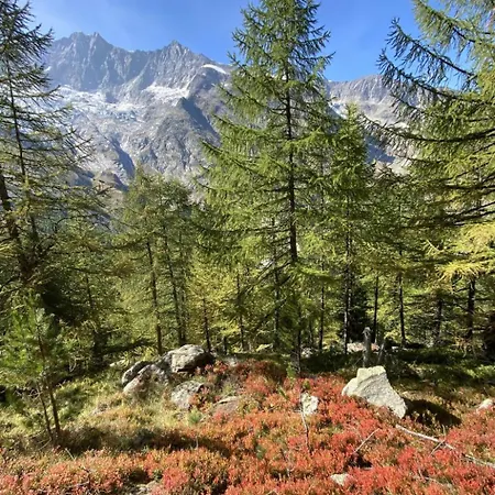 Appartamento Bettina Wellness Appartement-fewo Bettina 8 By Interhome Saas-Fee